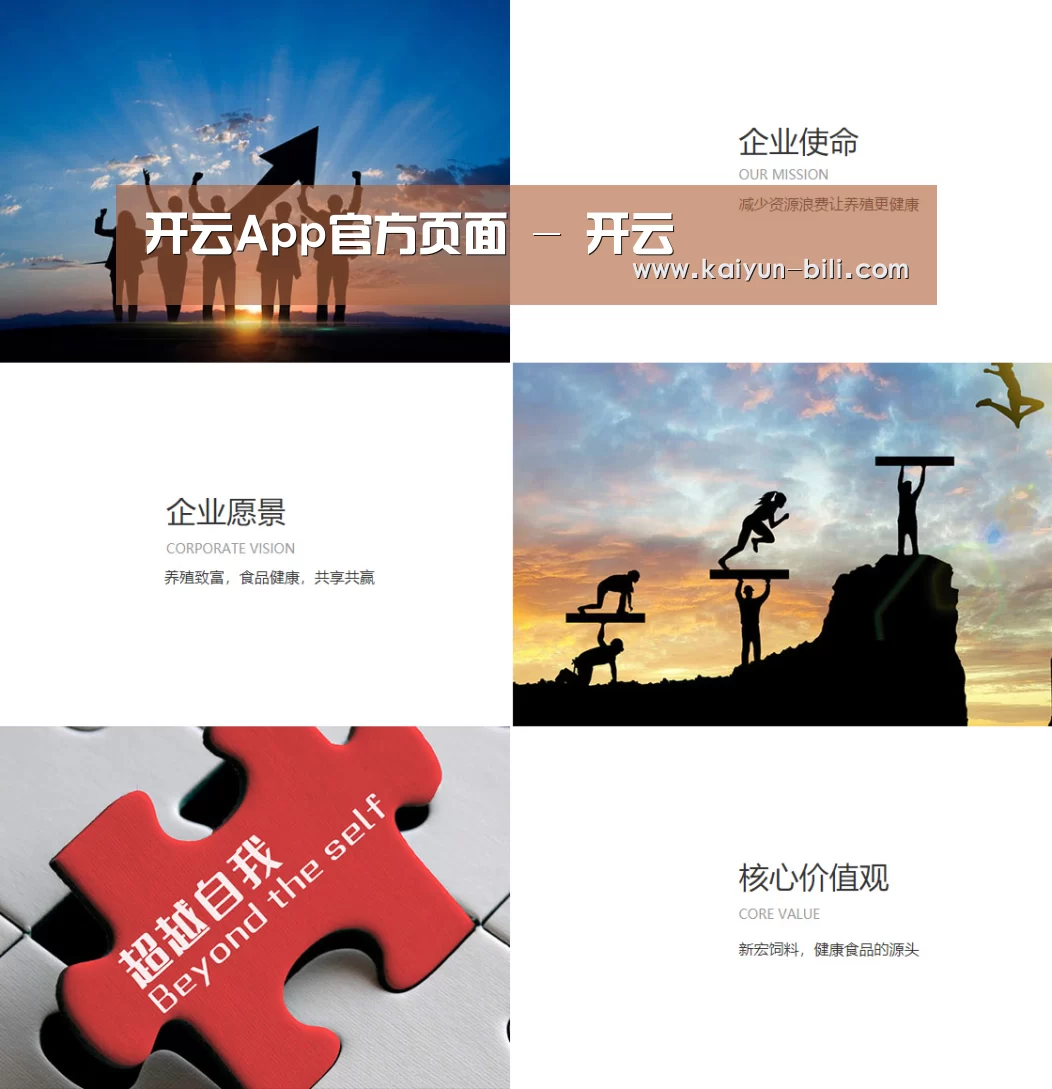企业文化(图1)