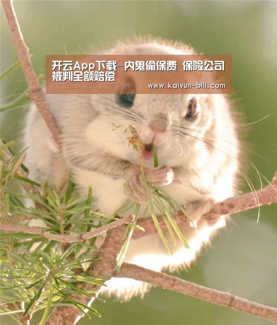 开云App下载-内鬼偷保费 保险公司被判全额赔偿