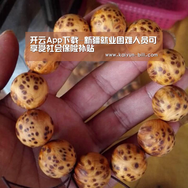 开云App下载-新疆就业困难人员可享受社会保险补贴(图3) 开云体育下载